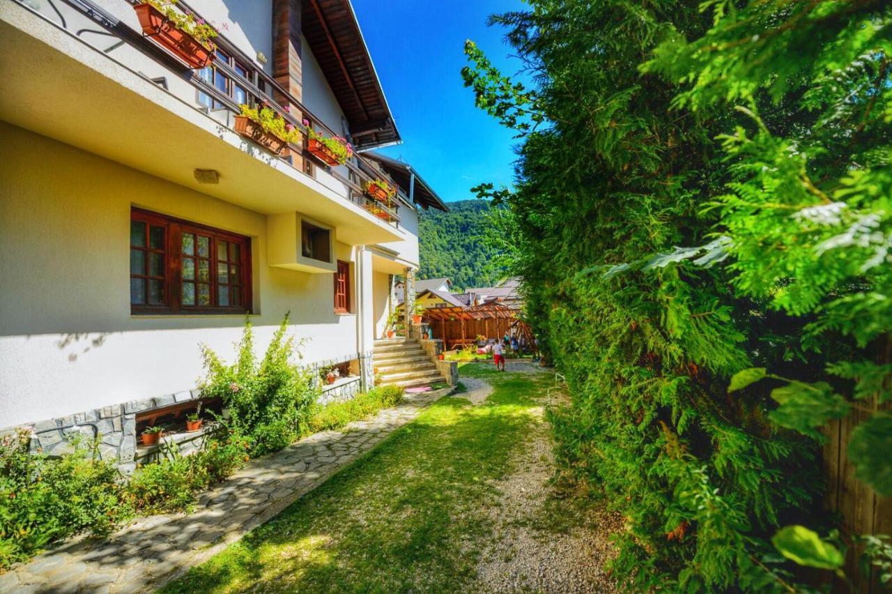 סינאיה Amandra Chalet מראה חיצוני תמונה