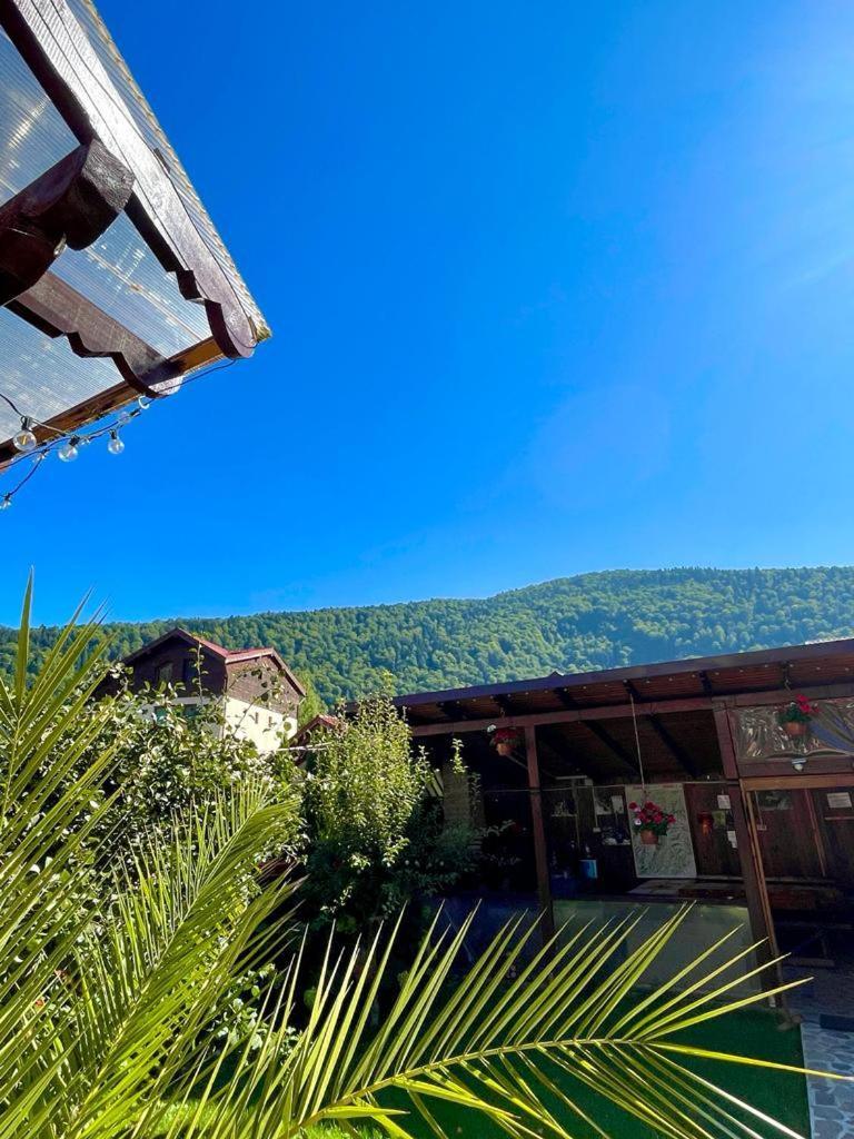 סינאיה Amandra Chalet מראה חיצוני תמונה