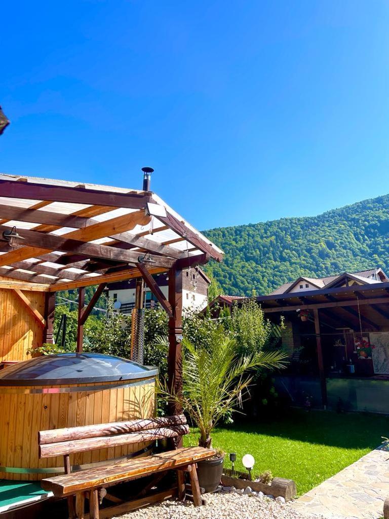 סינאיה Amandra Chalet מראה חיצוני תמונה